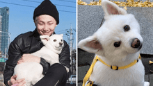 Namjoon, de BTS: líder RM revela que murió Monie, su adorable perrito