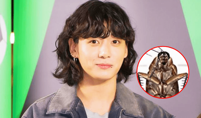 Después de revelar por error su cuenta secreta de TikTok, Jungkook de BTS se encontró con un video de una cucaracha que bailaba su canción 'SEVEN'. Foto: composición LR/Hybe/TikTok