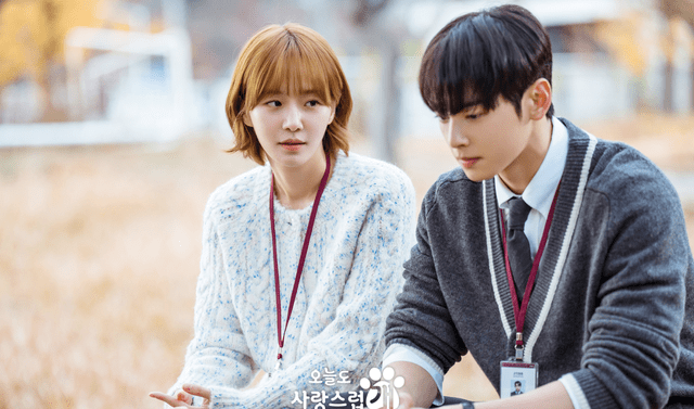  Jin Seo Won y Hae Na, protagonistas de la serie 'A Good Day to be a Dog'. Foto: MBC Drama   